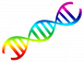 pngimg-com---dna_png100727.png